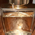 Духи Pour Homme Equus от Lalique