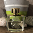 Отзыв Lalique Pour Homme Equus