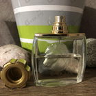 Духи Pour Homme Equus от Lalique