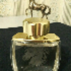 Духи Pour Homme Equus от Lalique