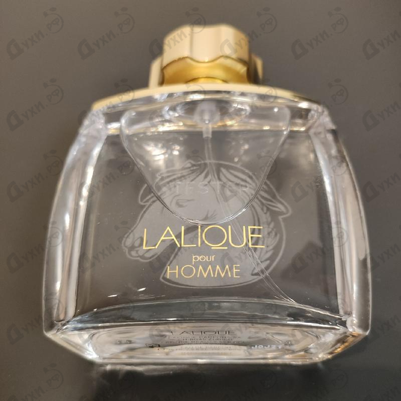 Духи Pour Homme Equus от Lalique