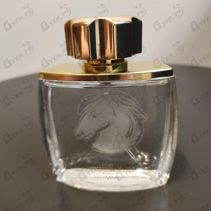Отзыв Lalique Pour Homme Equus