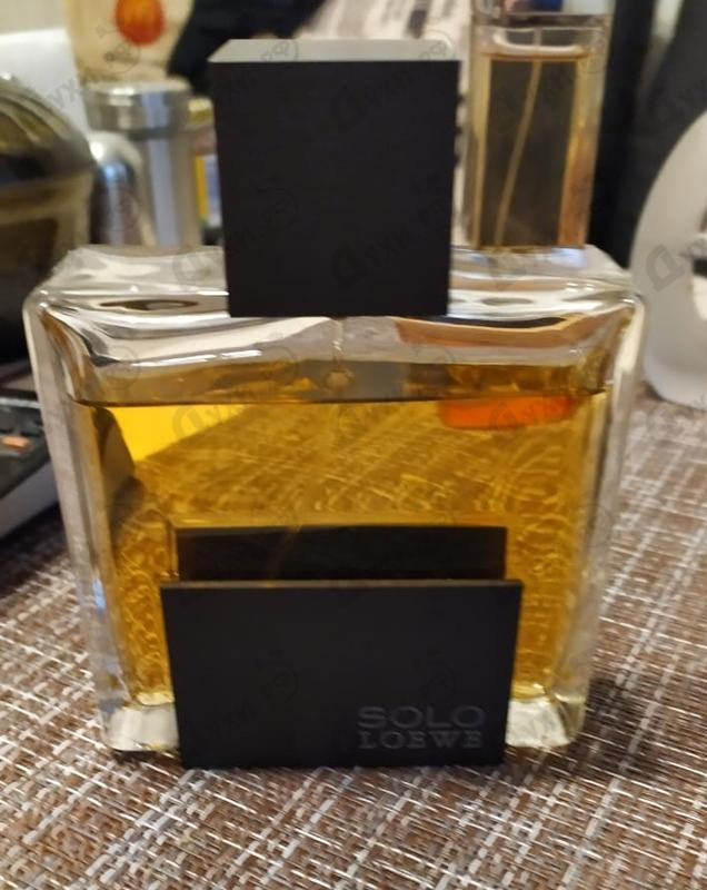 Купить Solo от Loewe Парфюмерия Loewe Solo