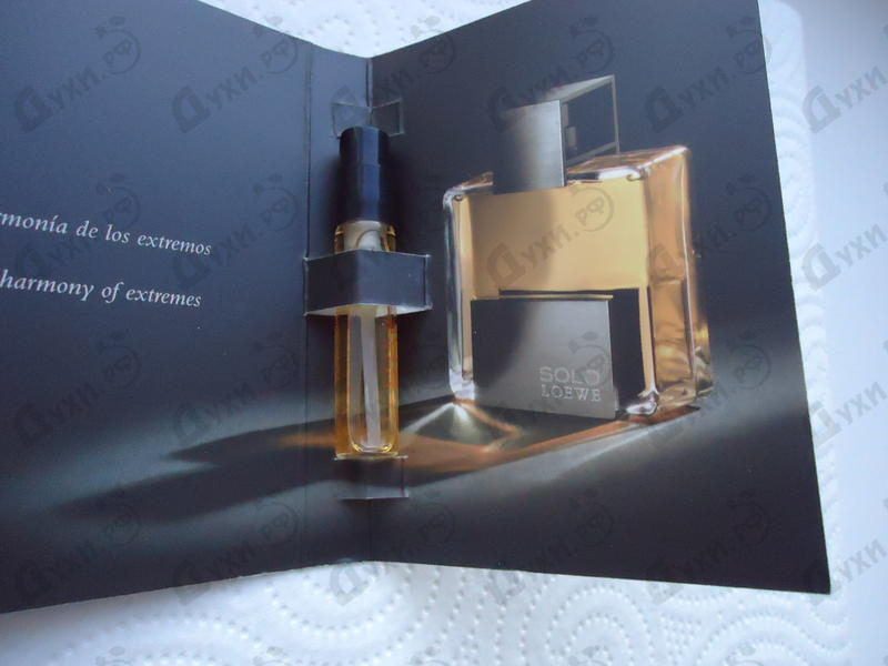 Купить Solo от Loewe Отзыв Loewe Solo