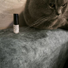 Отзыв Mont Blanc Star Walker