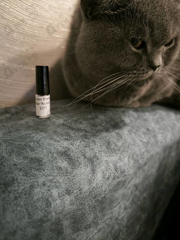 Духи Star Walker от Mont Blanc