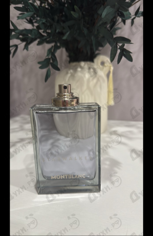 Отзывы Mont Blanc Star Walker