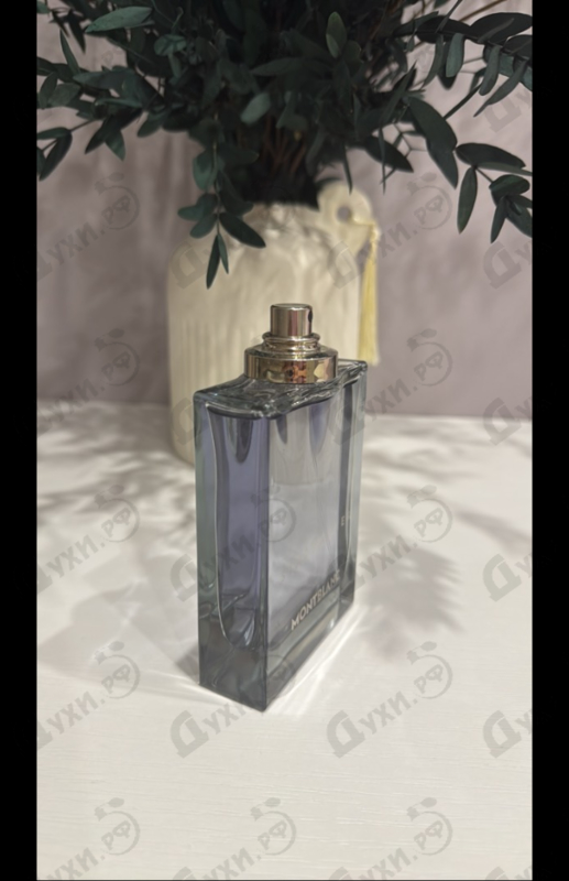 Купить Mont Blanc Star Walker