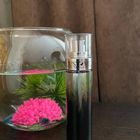 Духи Just Me от Paris Hilton