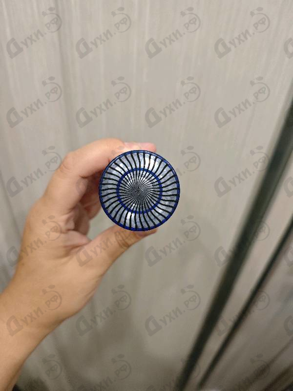 Купить Paris Hilton Men