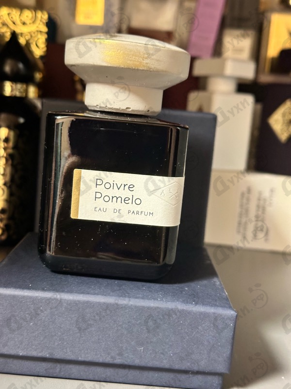 Купить Poivre Pomelo от Atelier Materi