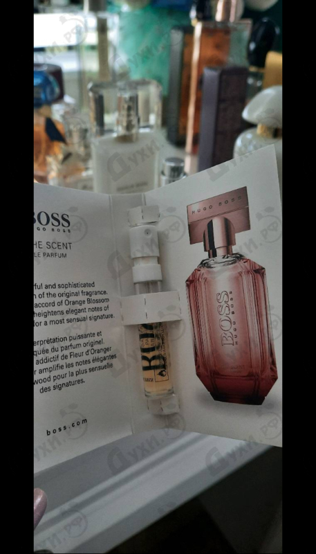 Парфюмерия The Scent Le Parfum от Hugo Boss