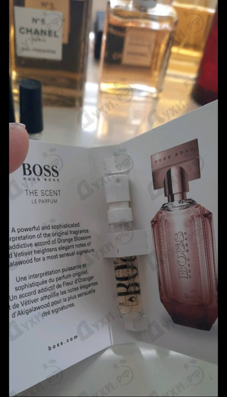 Парфюмерия Hugo Boss The Scent Le Parfum