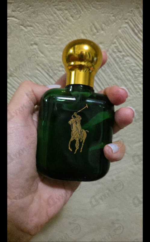 Парфюмерия Polo от Ralph Lauren