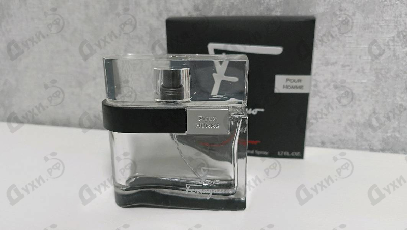 Отзыв Salvatore Ferragamo F By Ferragamo Black