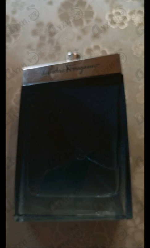 Отзывы Salvatore Ferragamo Subtil