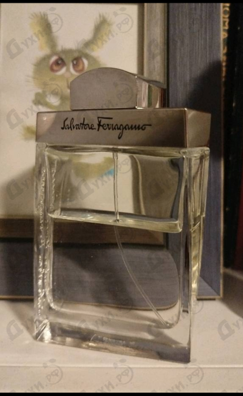 Купить Men от Salvatore Ferragamo