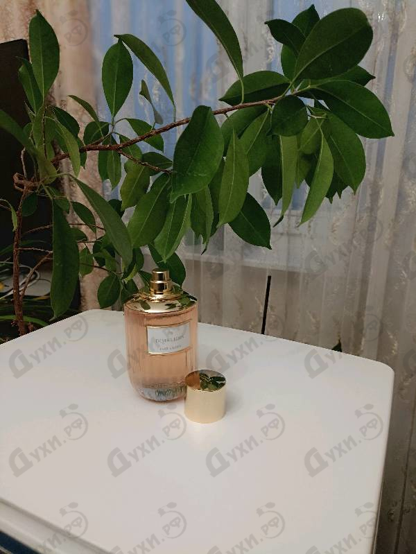 Отзывы Estee Lauder Desert Eden