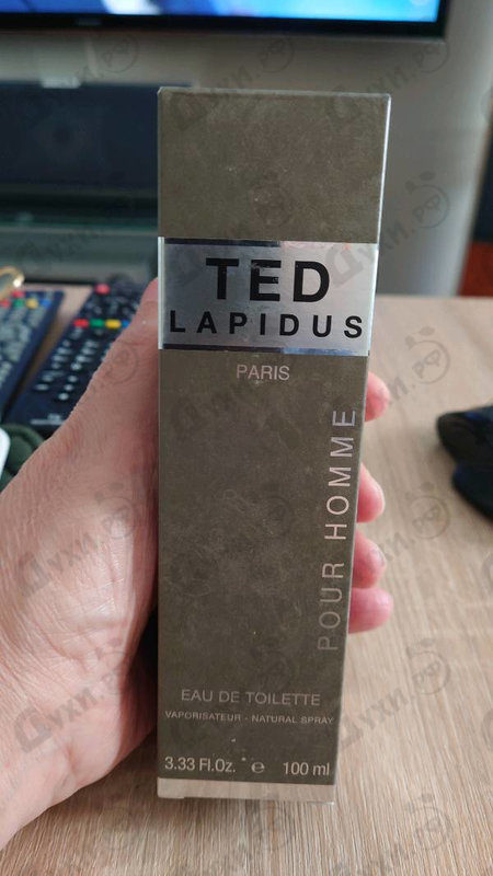 Купить Ted от Ted Lapidus