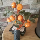 Отзывы Thierry Mugler A Men