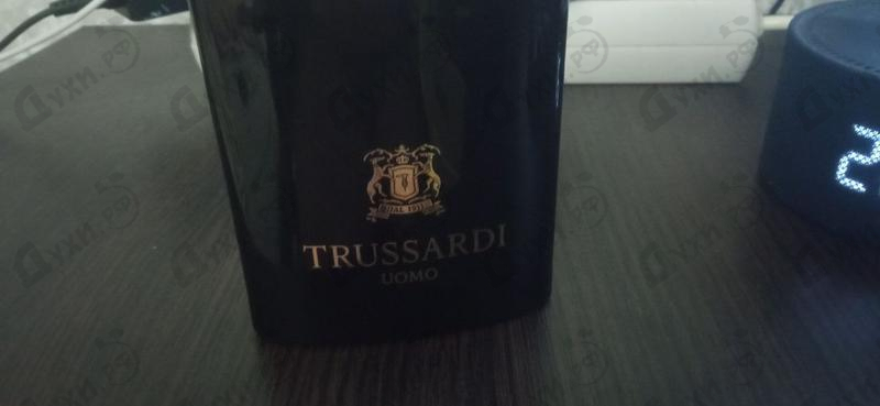 Купить Uomo от Trussardi