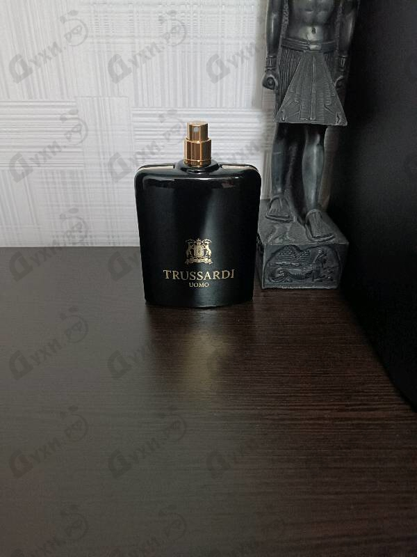 Купить Uomo от Trussardi