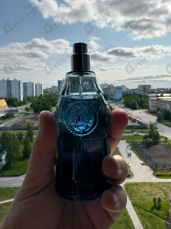 Купить Versace Blue Jeans