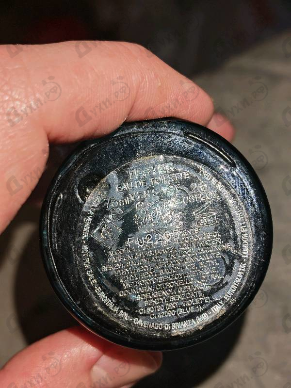 Купить Blue Jeans от Versace