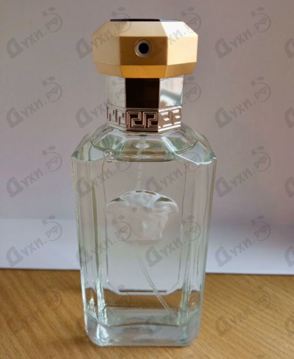 Купить Versace Dreamer