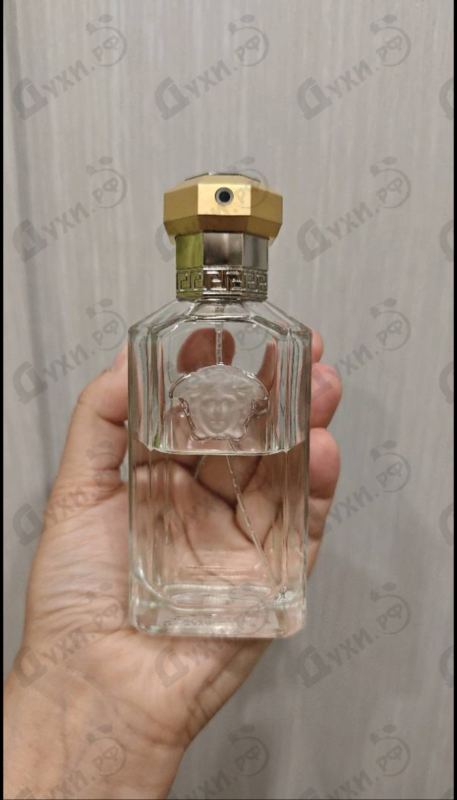 Купить Versace Dreamer
