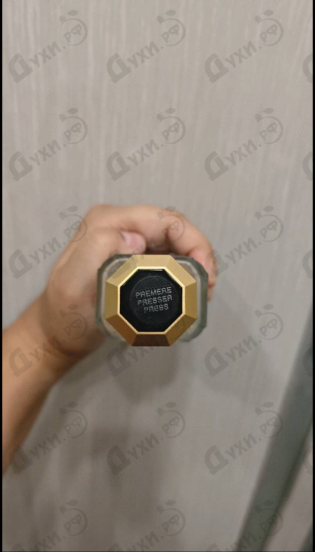 Парфюмерия Dreamer от Versace