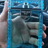 Парфюм Versace Eau Fraiche Купить Eau Fraiche от Versace