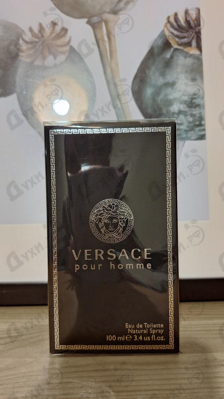 Духи Pour Homme от Versace