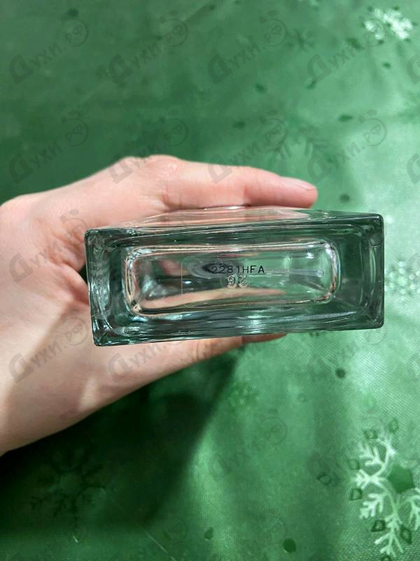 Парфюмерия Pour Homme от Versace Отзывы Versace Pour Homme