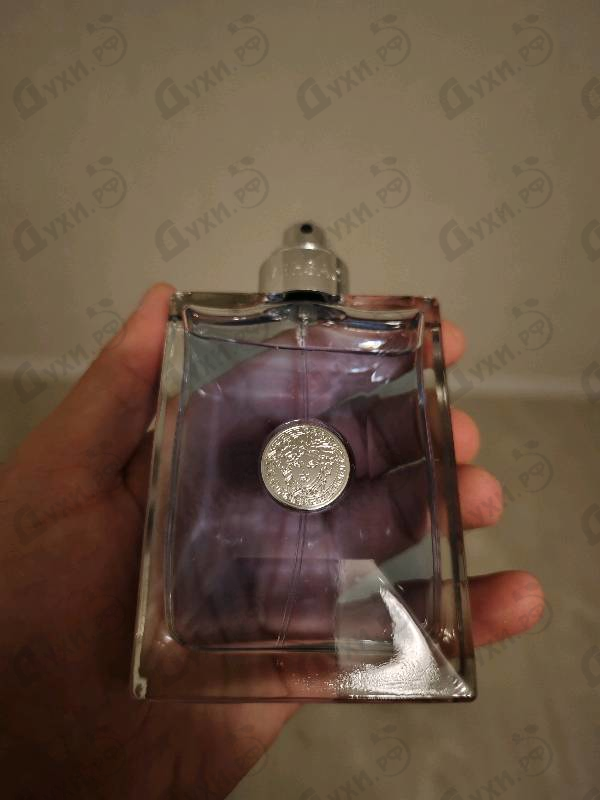 Купить Pour Homme от Versace Отзывы Versace Pour Homme