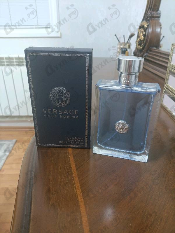 Купить Pour Homme от Versace