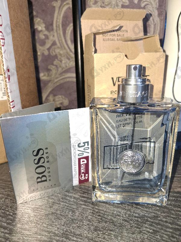 Купить Pour Homme от Versace