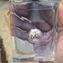 Парфюмерия Versace Pour Homme
