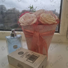 Отзыв Versace Pour Homme