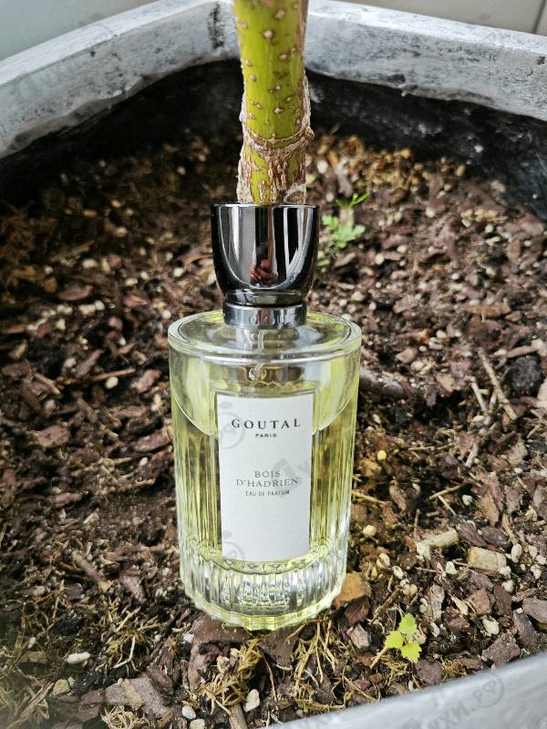 Парфюмерия Bois D'Hadrien от Annick Goutal