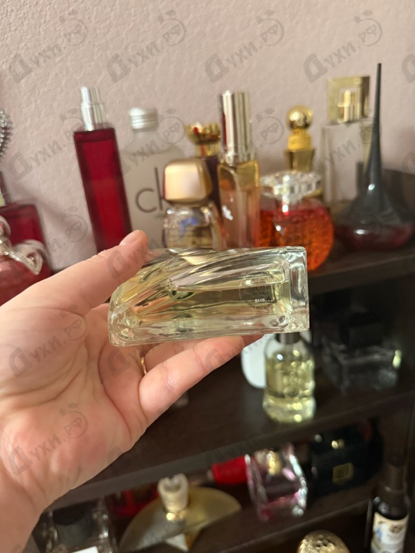 Купить Yohji Pour Homme (2013) от Yohji Yamamoto