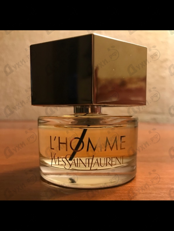 Духи L'homme от Yves Saint Laurent