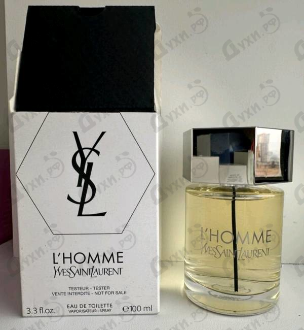 Отзыв Yves Saint Laurent L'homme