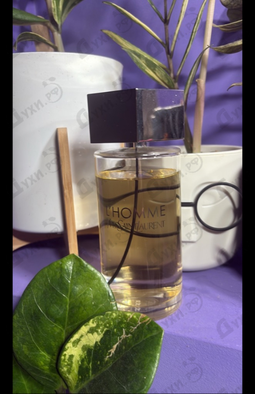 Парфюмерия L'homme от Yves Saint Laurent