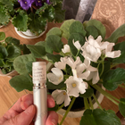 Духи La Nuit De L' Homme от Yves Saint Laurent