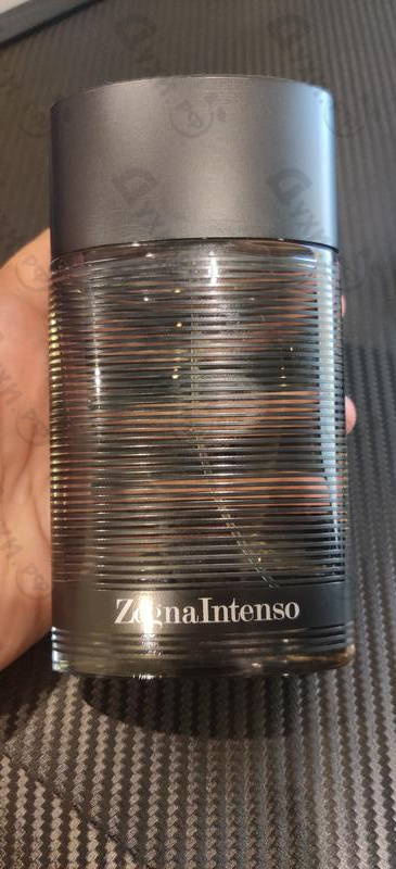 Купить Intenso от Zegna