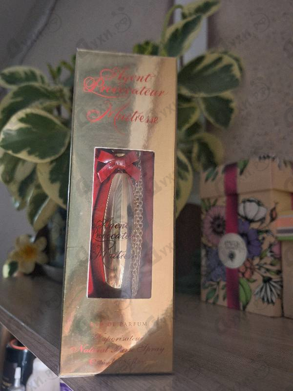 Купить Maitresse от Agent Provocateur