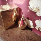 Отзывы Agent Provocateur Maitresse