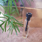 Отзыв Agent Provocateur Women
