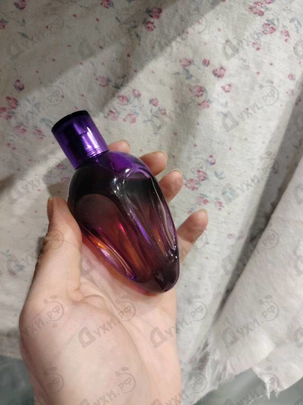 Купить Alexander Mcqueen My Queen